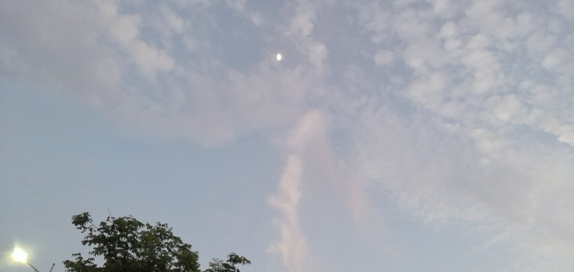 找搭子