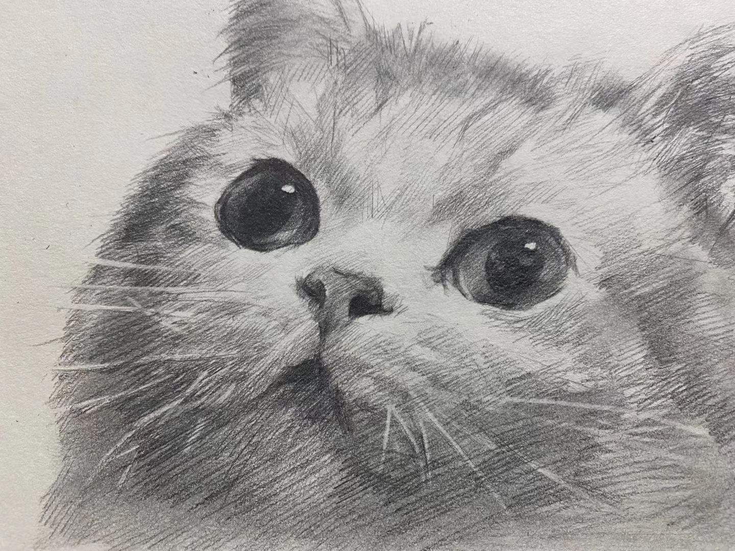 找搭子