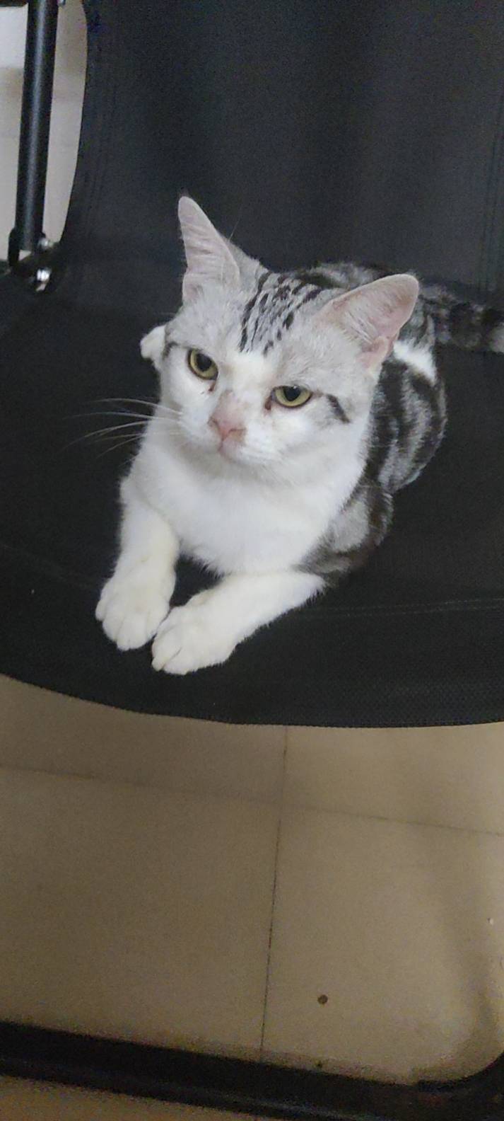 找搭子