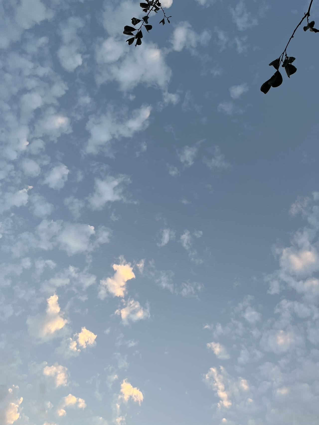 找搭子