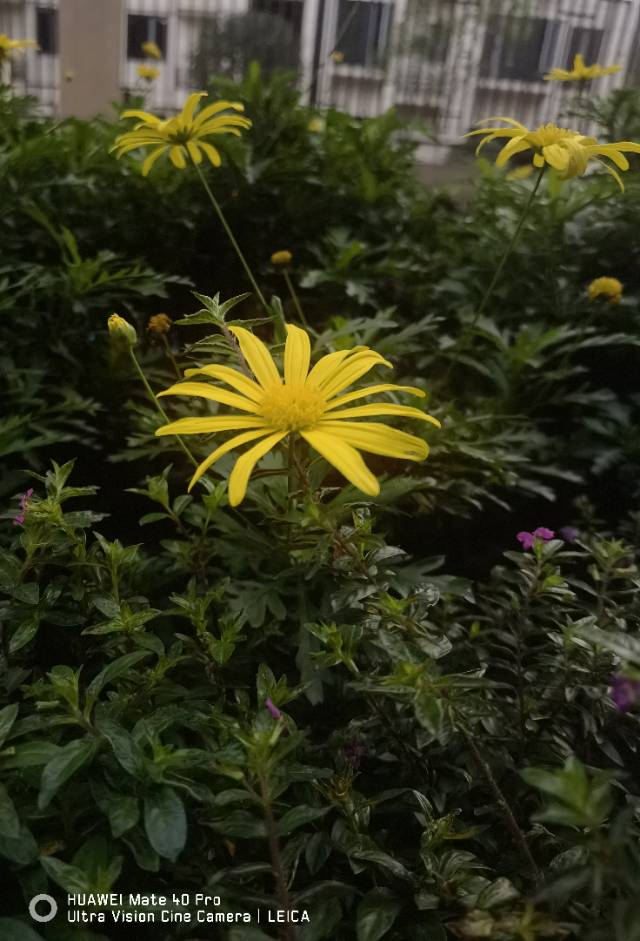 找搭子