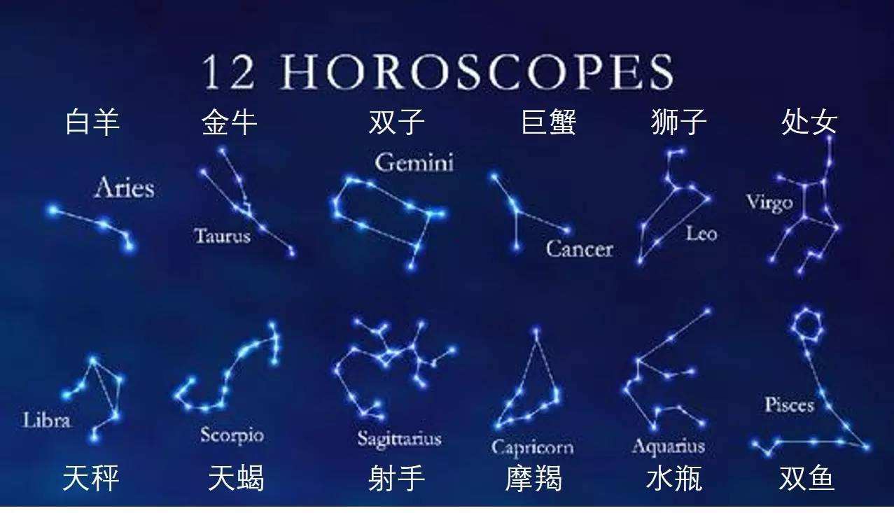 找搭子