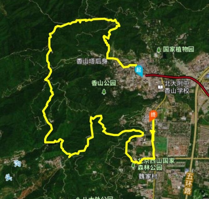 找搭子