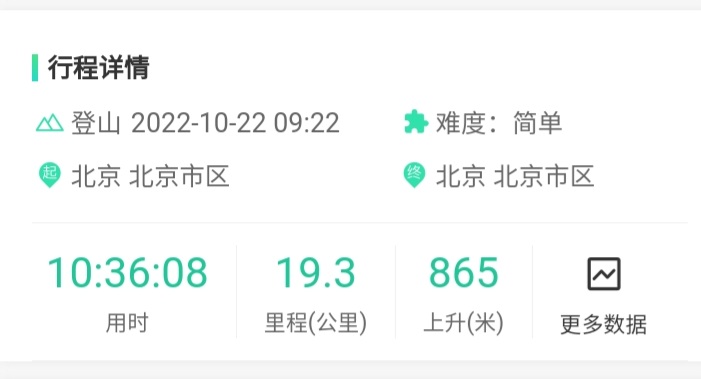 找搭子