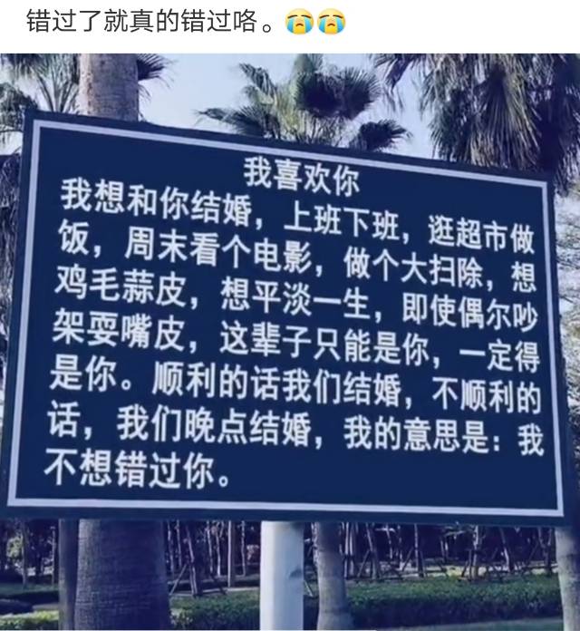 找搭子
