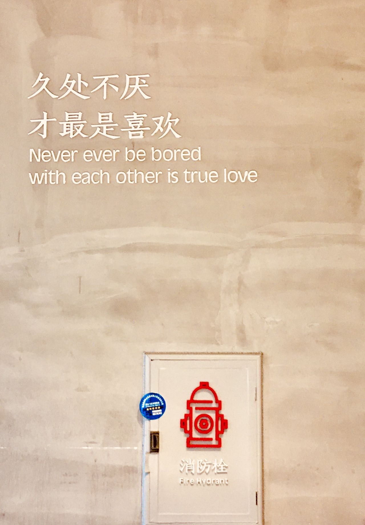 找搭子