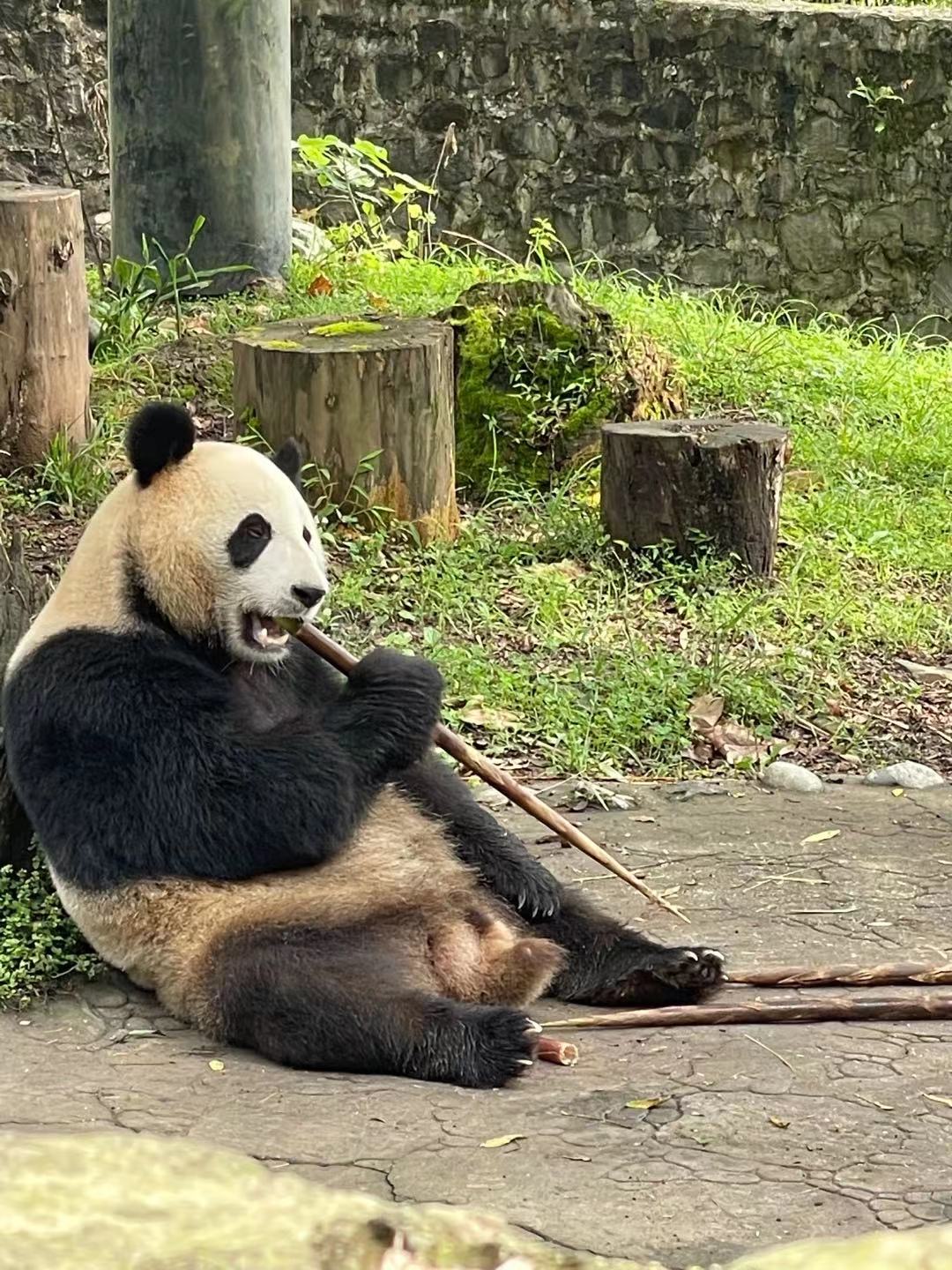 找搭子