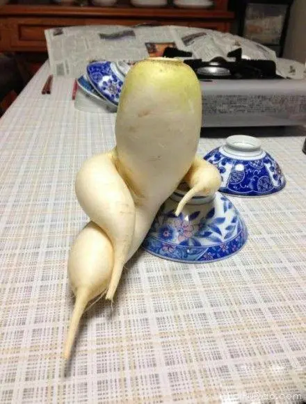 找搭子