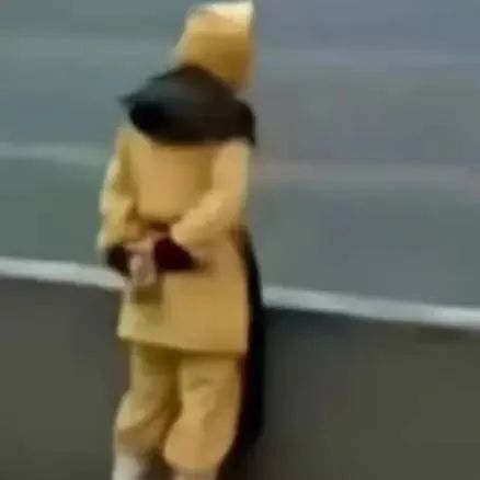 找搭子