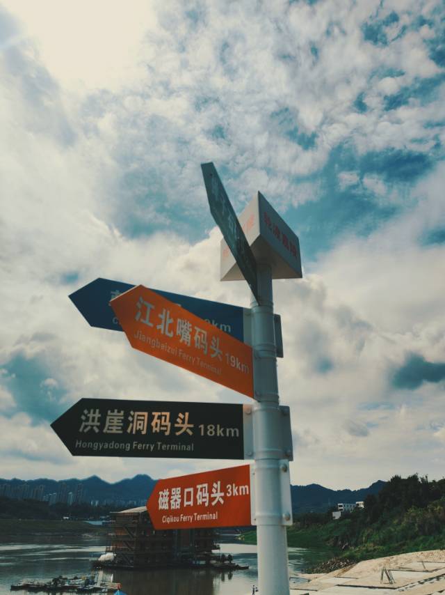 找搭子