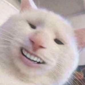 找搭子