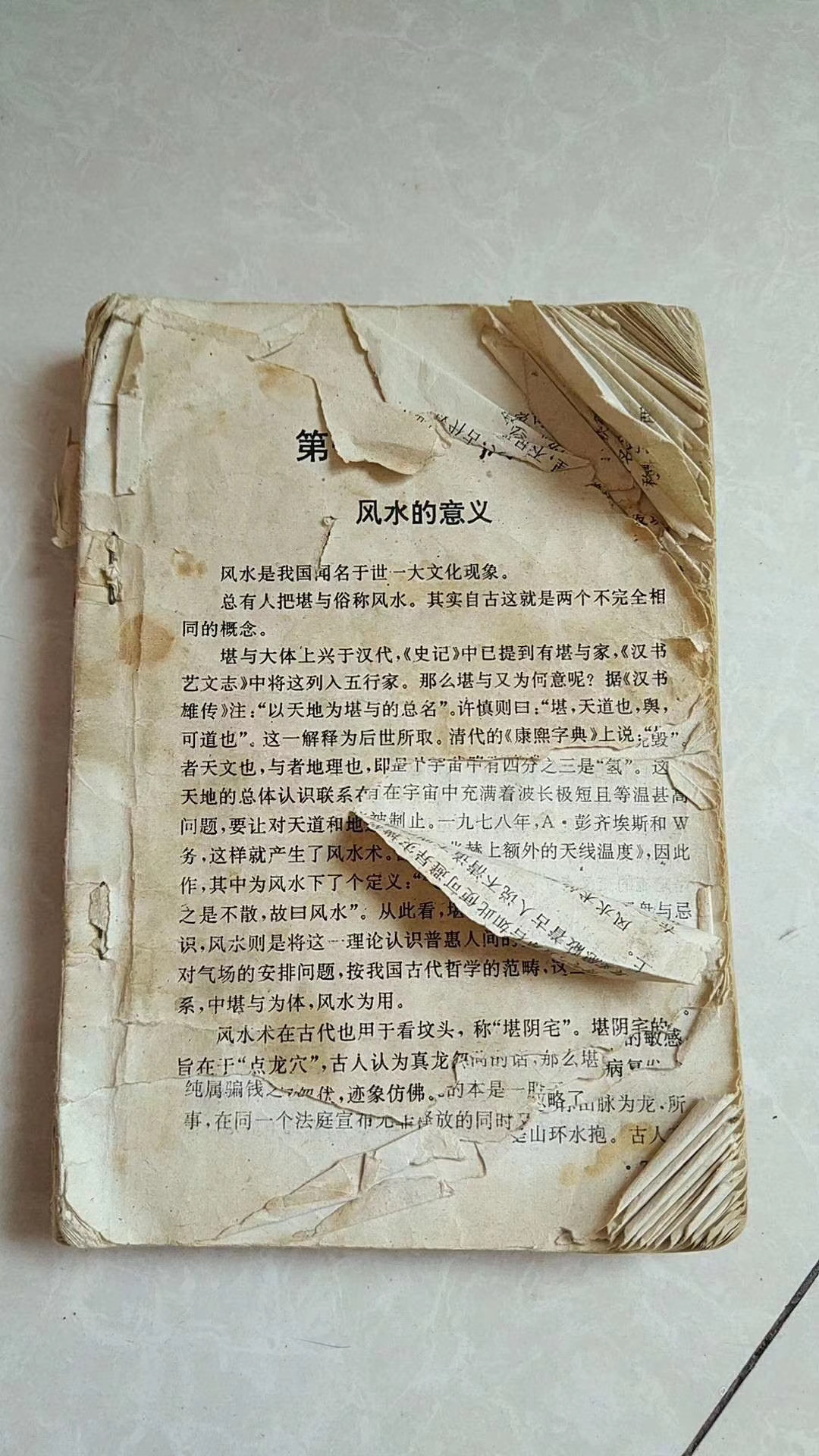找搭子
