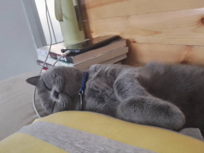 找搭子