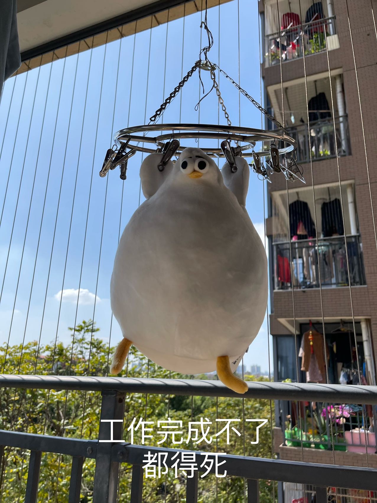 找搭子