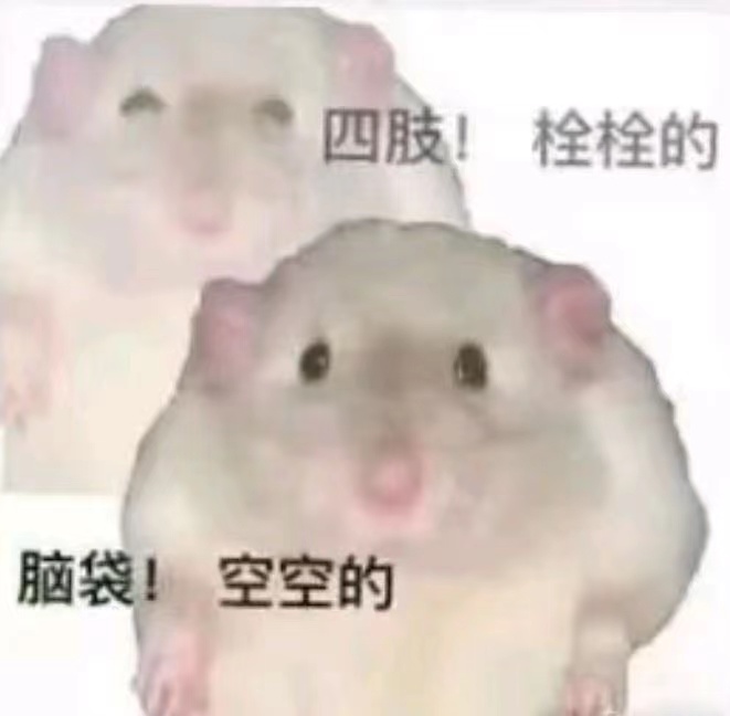 找搭子