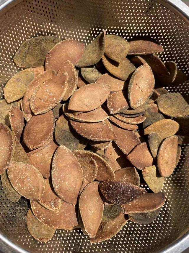 相亲找对象