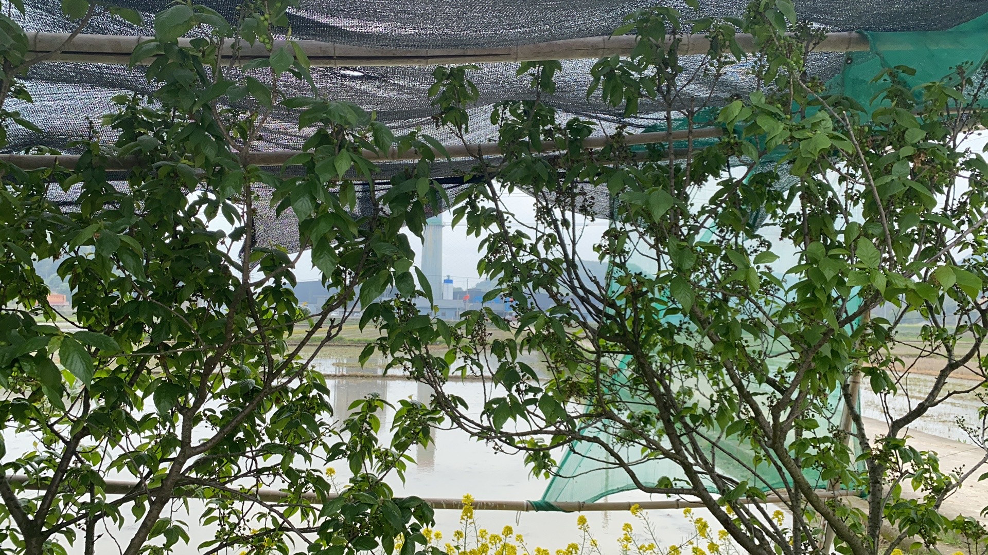 找搭子