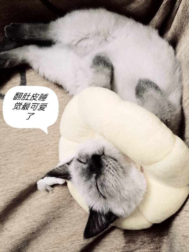 相亲找对象