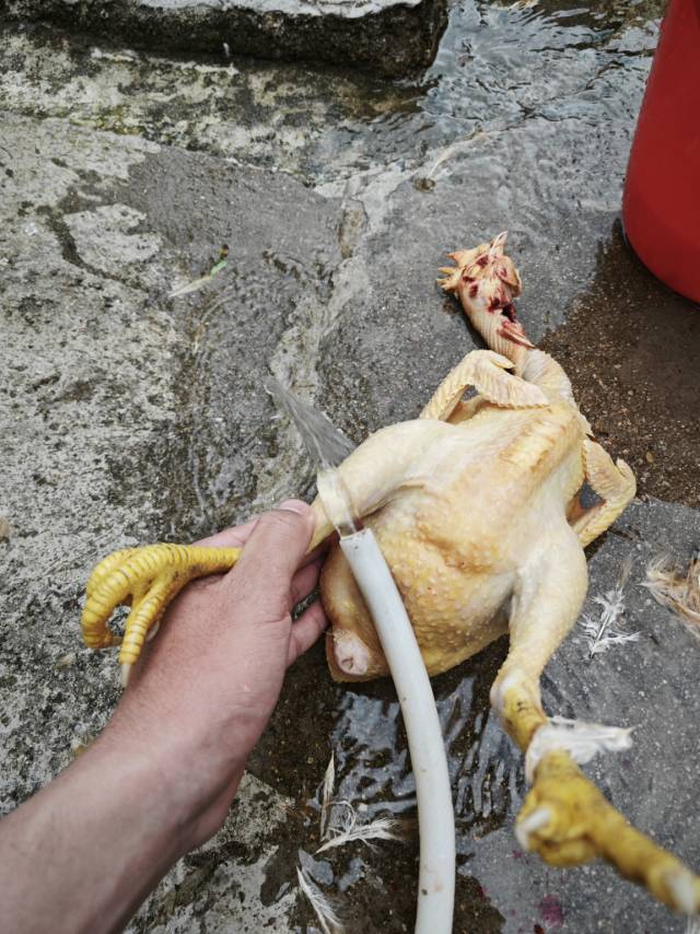 找搭子
