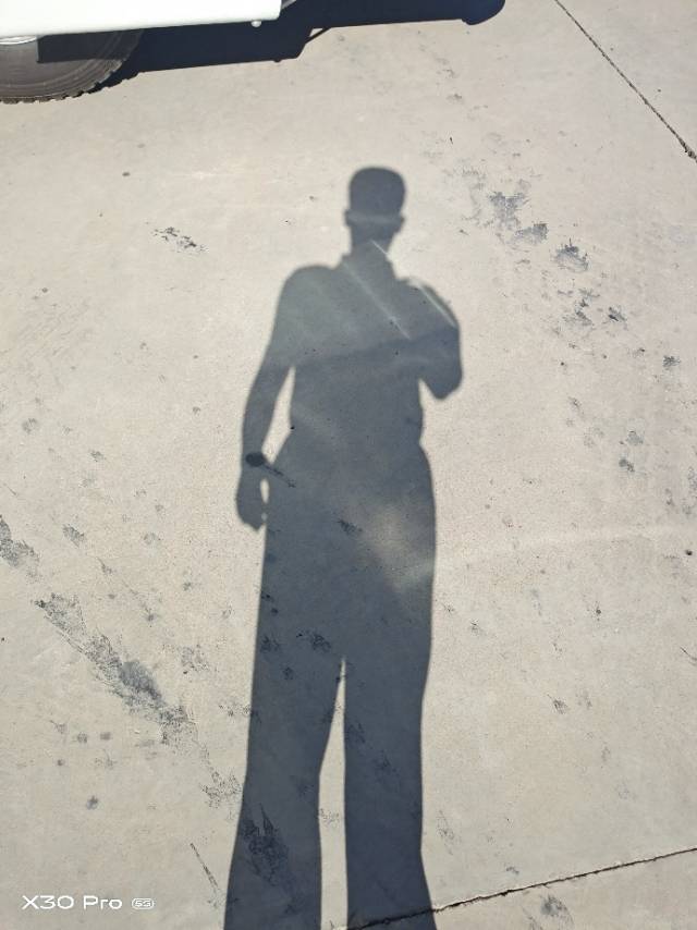 找搭子