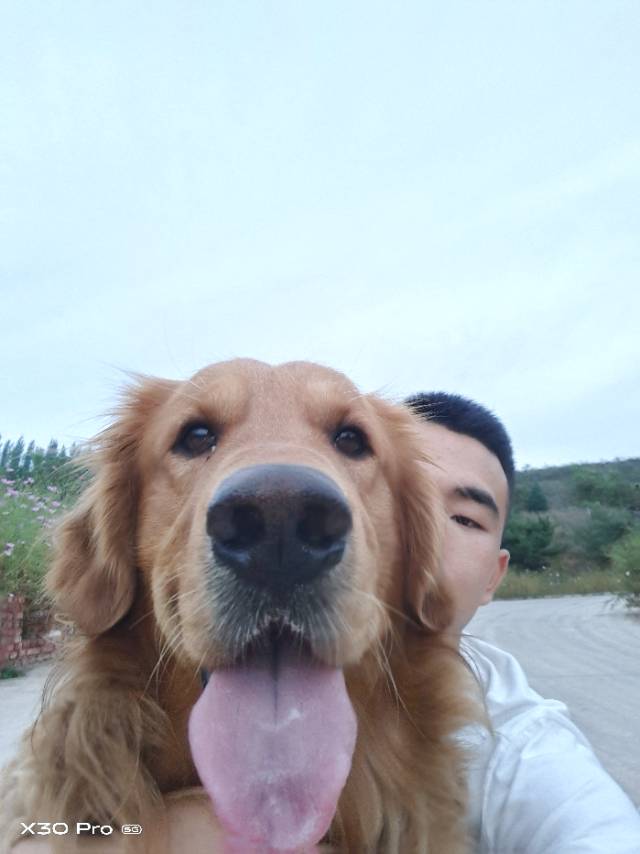 找搭子