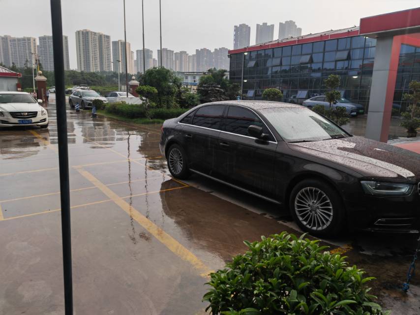 找搭子