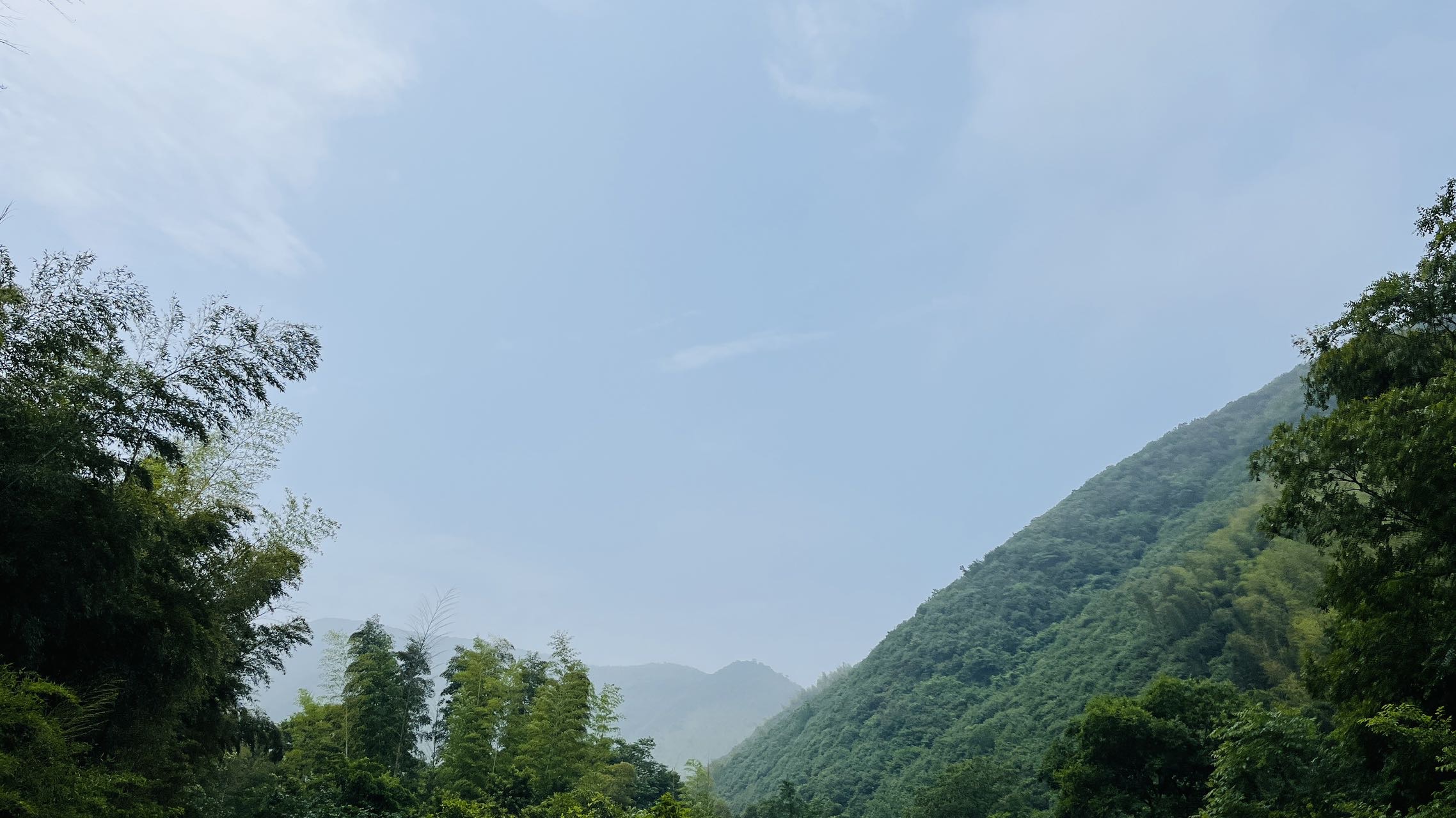找搭子