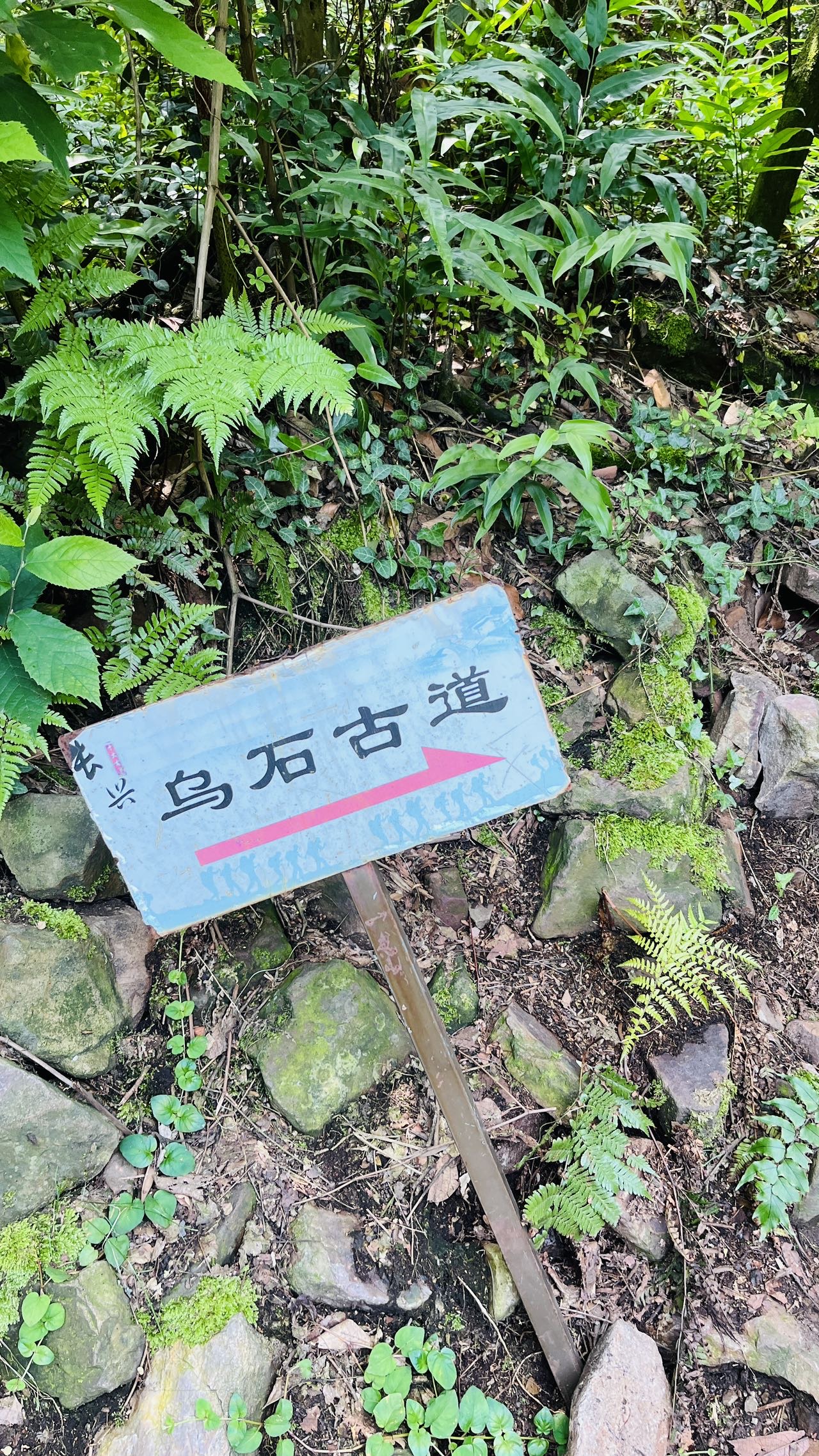 相亲找对象