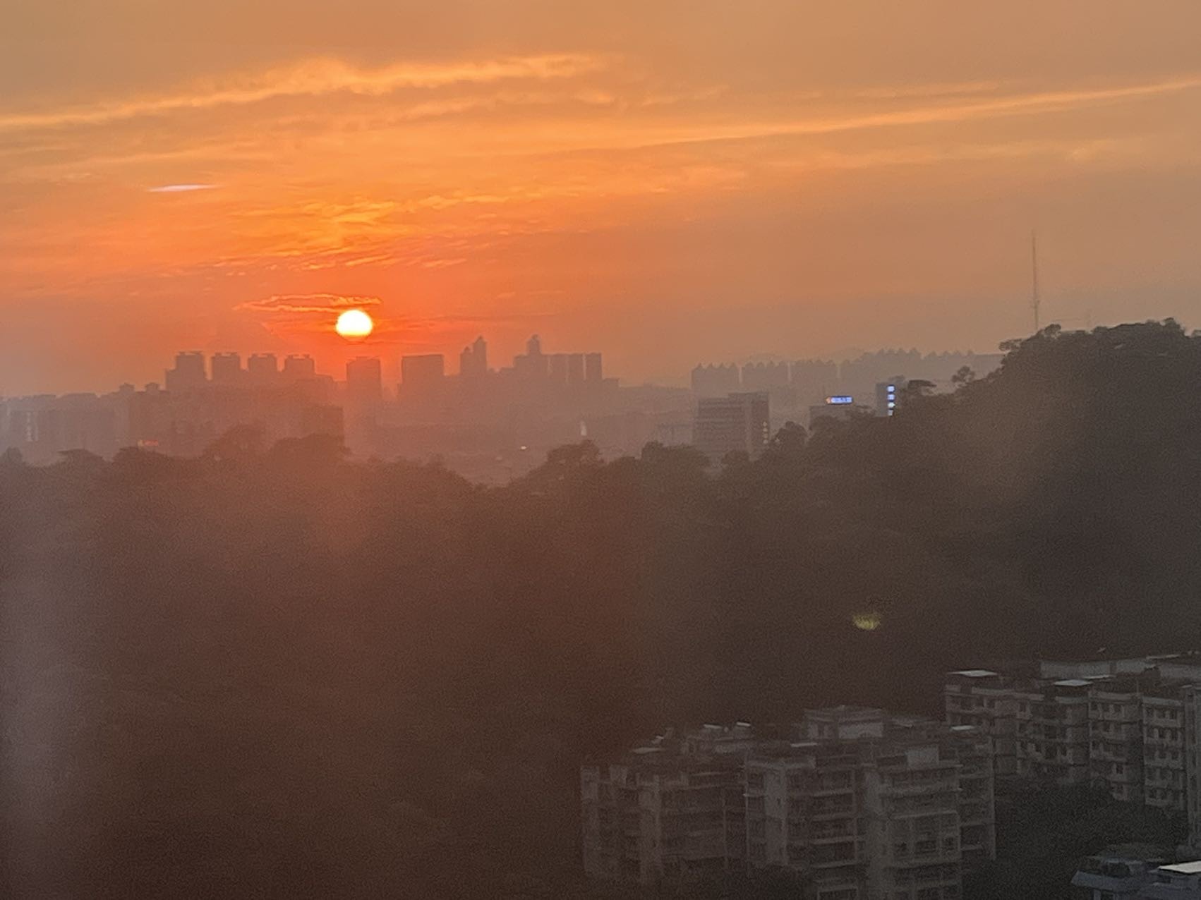 找搭子