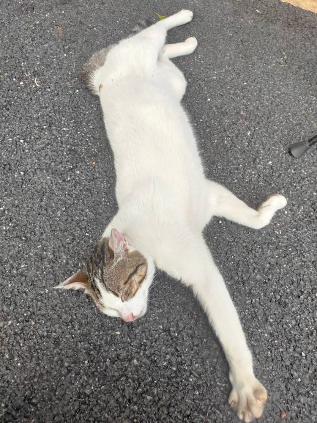 找搭子