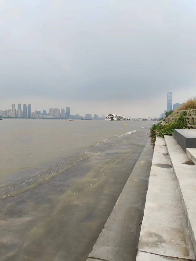 找搭子