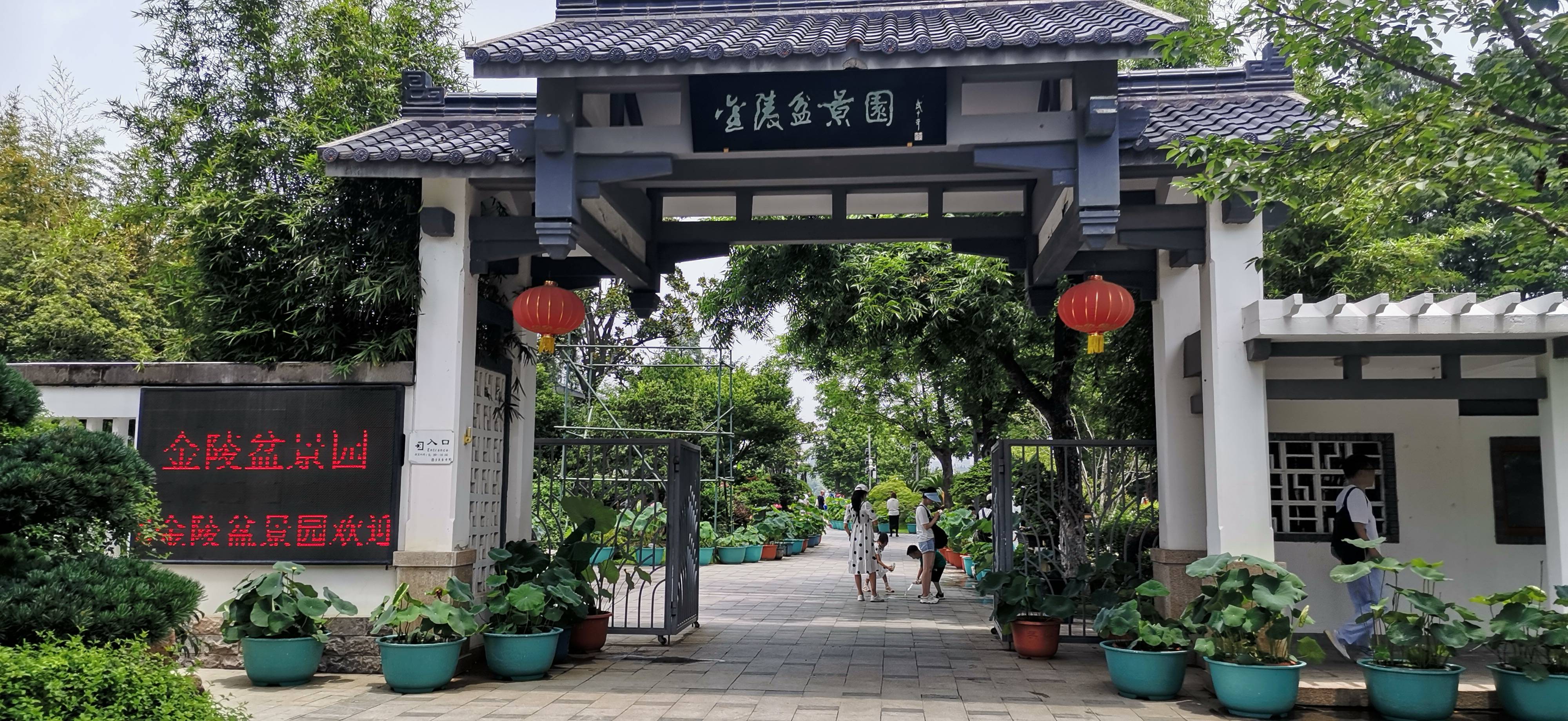 找搭子