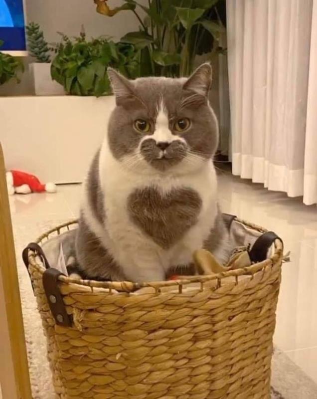 找搭子