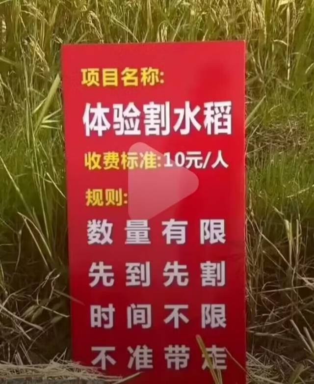 找搭子