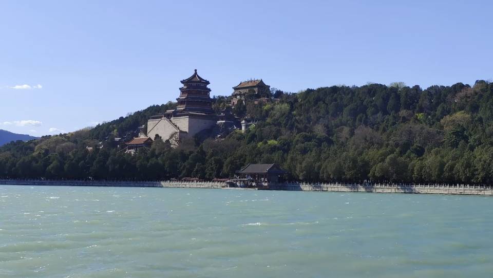 找搭子
