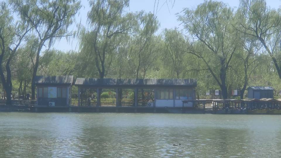 相亲找对象