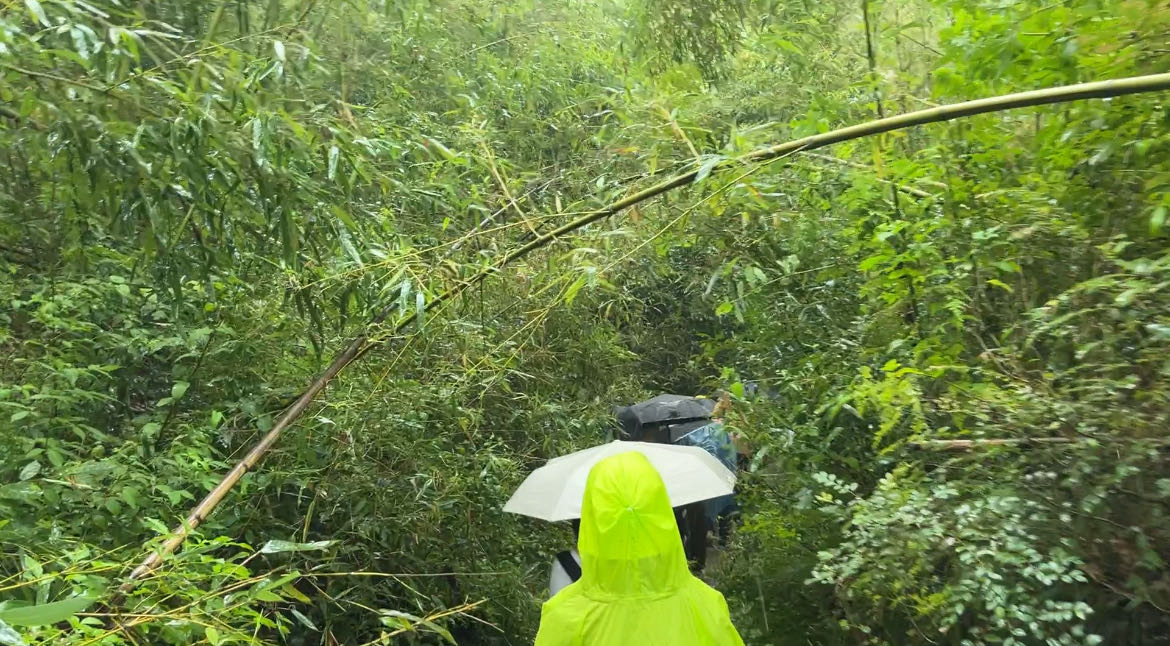 找搭子