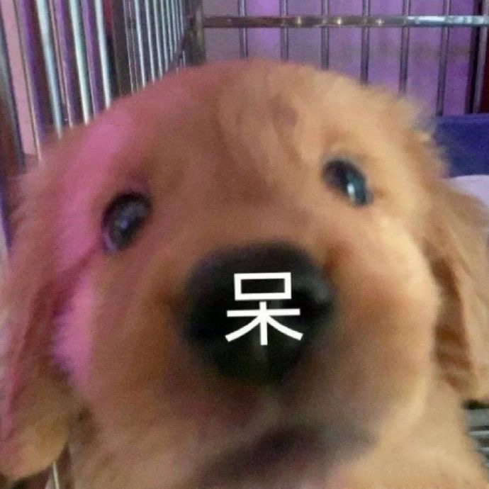 找搭子