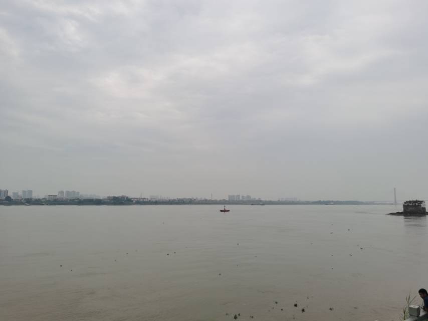 找搭子
