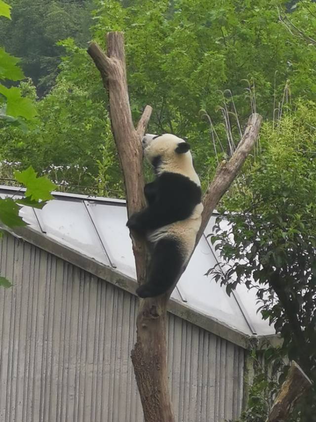 找搭子