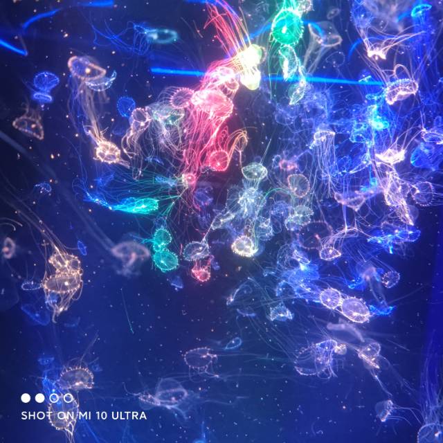 找搭子