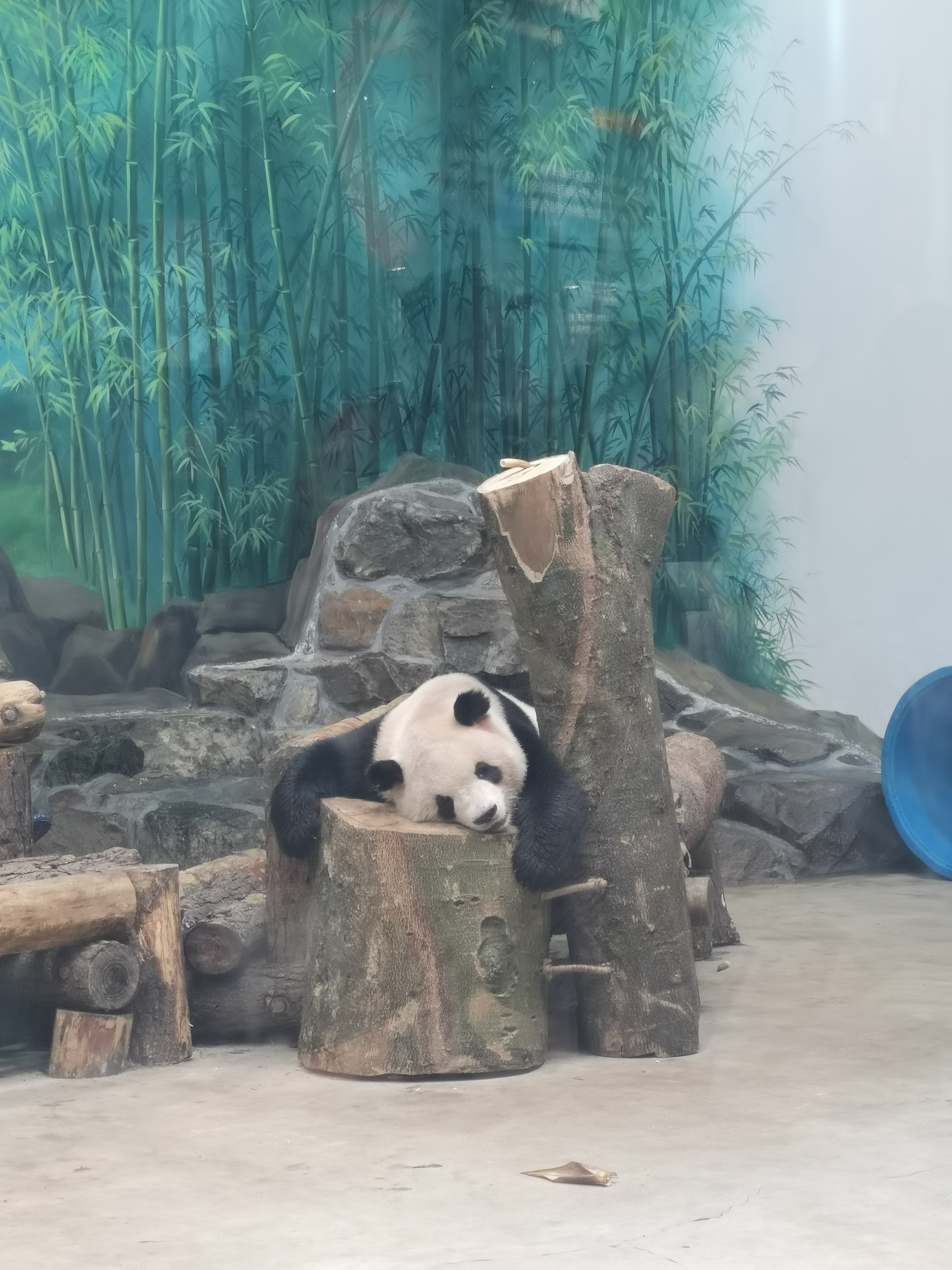 找搭子