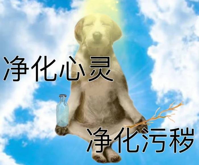 找搭子