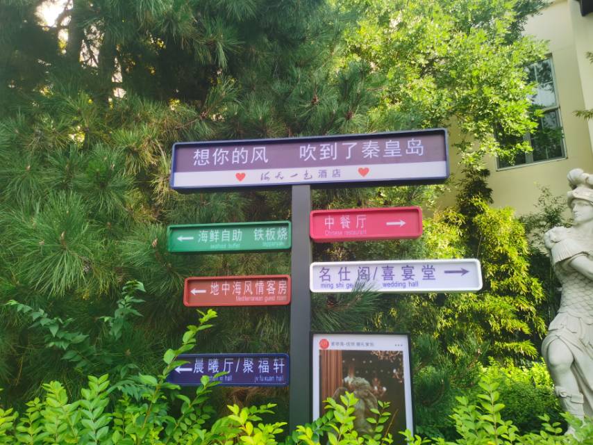 找搭子
