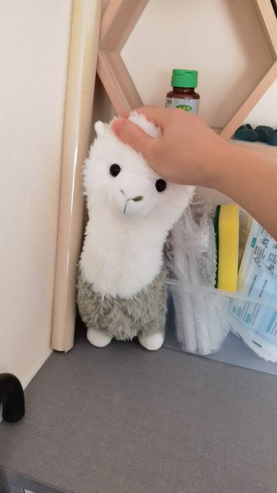 找搭子
