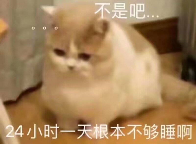 找搭子