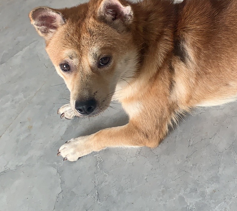 找搭子