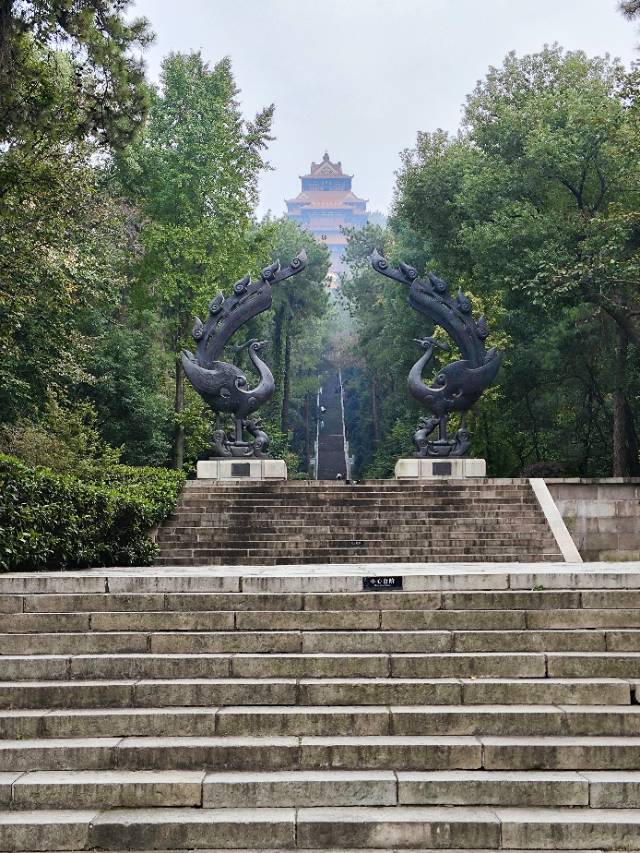相亲找对象