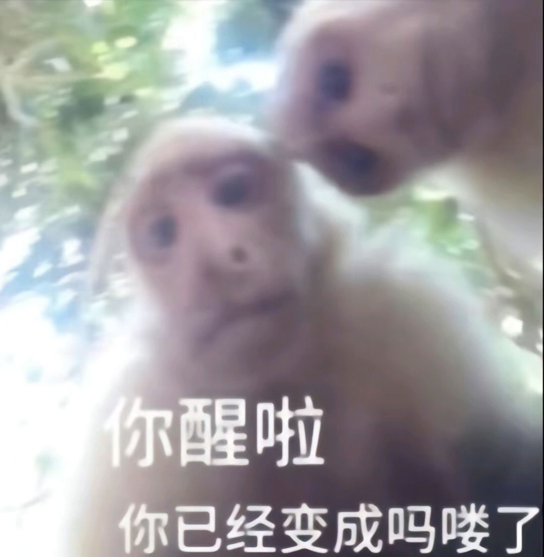 找搭子