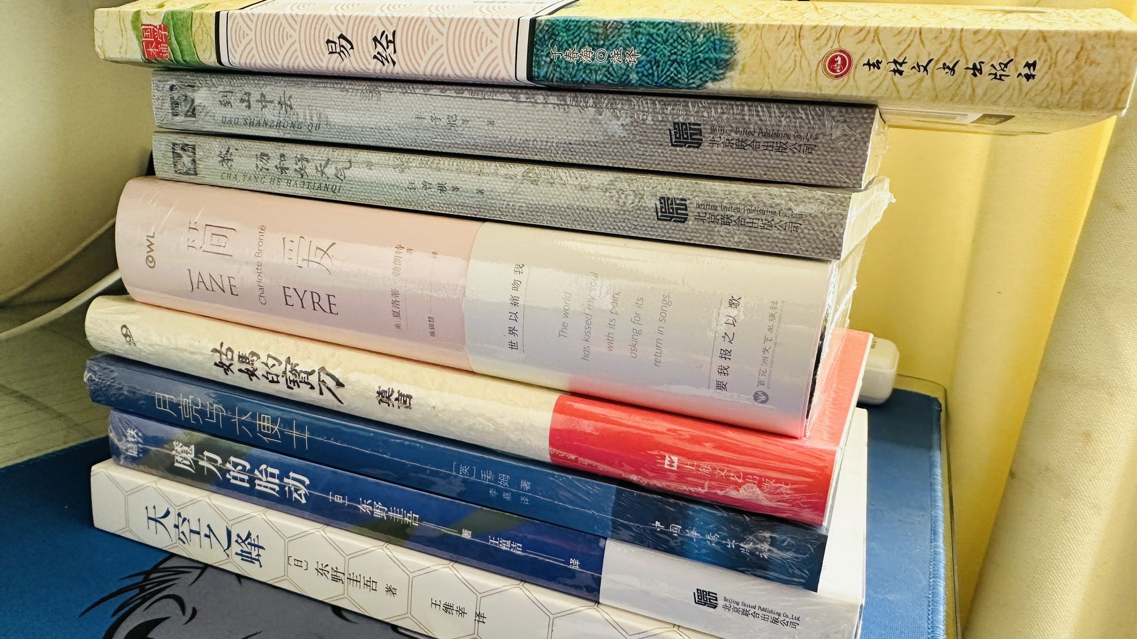 找搭子